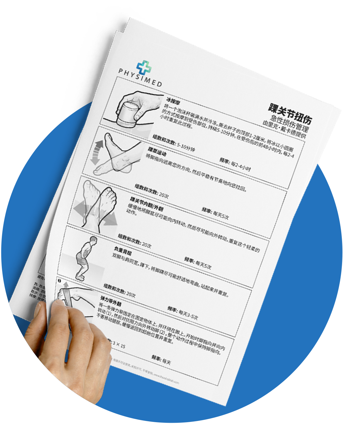 The Rehab Lab on desktop