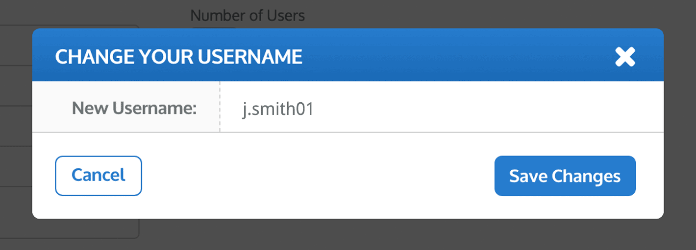 the Change Your Username window