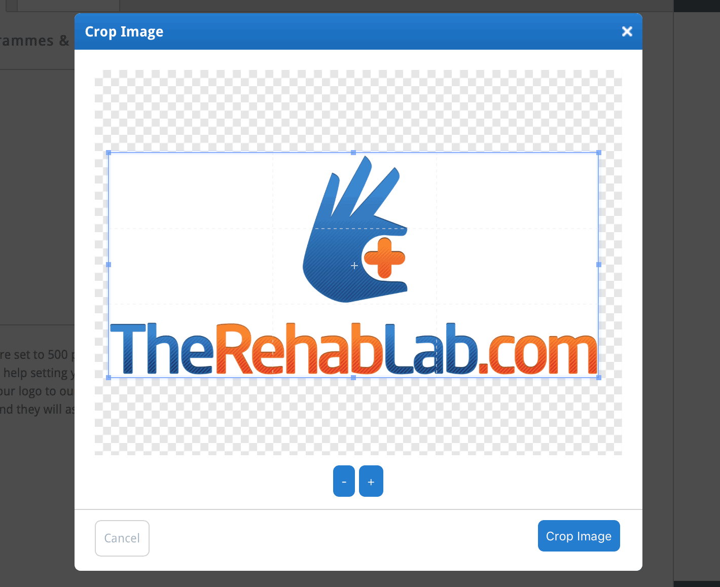 Click the Crop Image button
